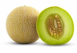 fresh muskmelon