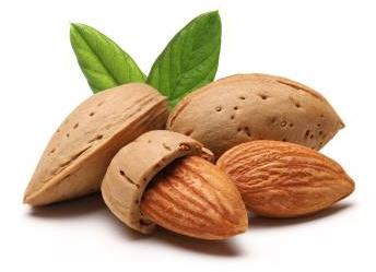 Organic Almond Nuts, for Milk, Sweets, Feature : Good Taste, Rich In Protein, Vitamin