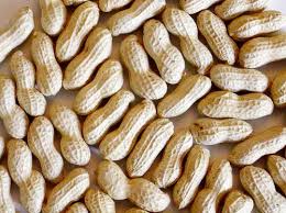 Organic Shelled Groundnuts, Packaging Size : 10kg, 25Kg