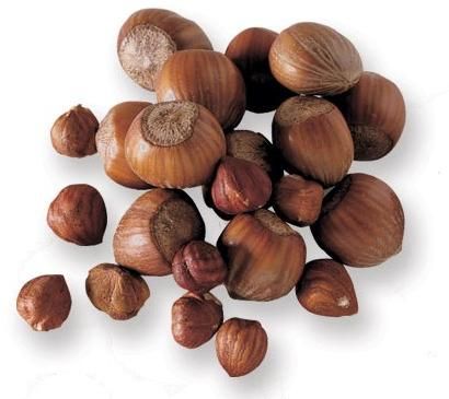 Hazelnut, For Dishes, Edible, Making Oil, Snack, Certification : HACCP