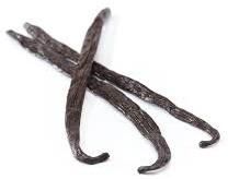 Indian Vanilla Beans