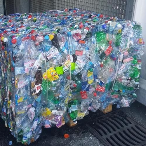 pet bottle scrap