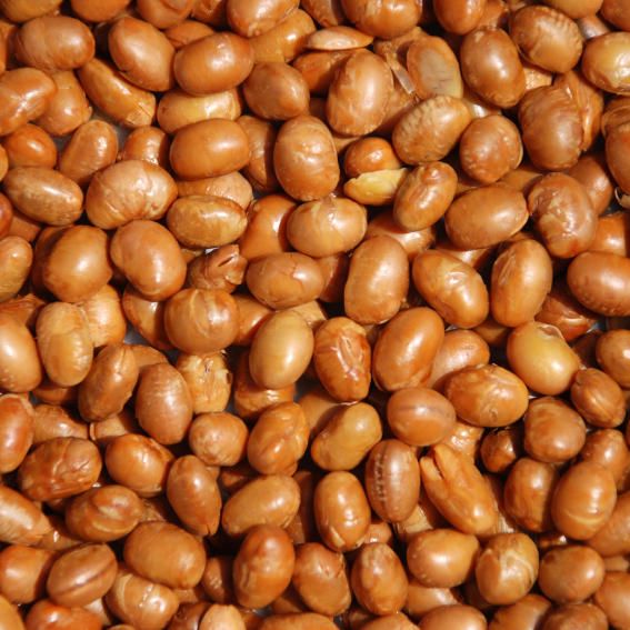 Soy Nuts, Packaging Type : Plastic Packet