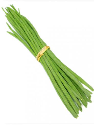 Organic Fresh Drumstick, Color : Green