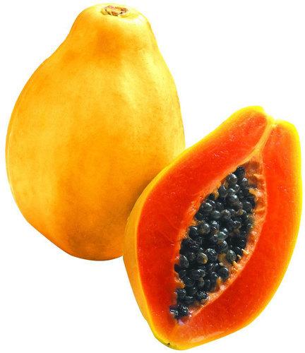 Organic fresh papaya, Packaging Type : Jute Sacks