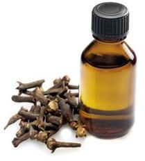 Blended Common Clove Bud Absolute Oil, Certification : FSSAI Certified