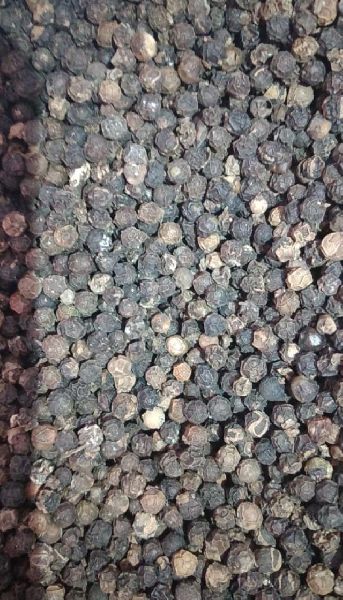 Natural black pepper seeds, Style : Dried