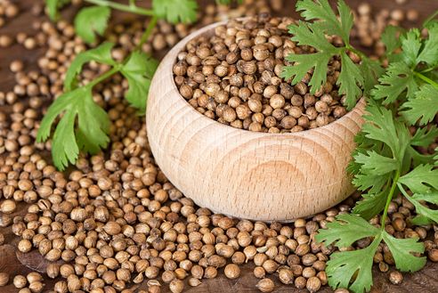Coriander seeds, for Cooking, Medicinal, Packaging Size : 1-5 kg