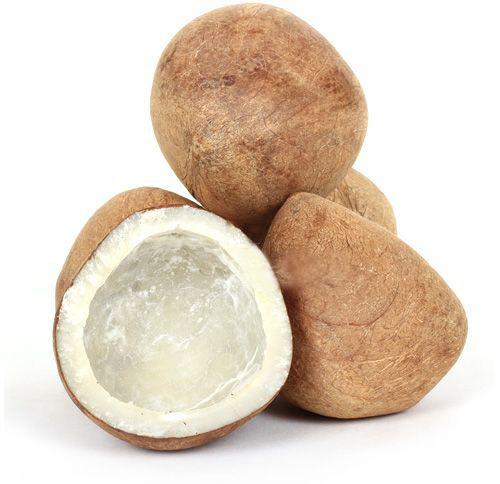 Organic Dried Coconut, for Cosmetics, Medicines, Pooja, Feature : Free From Impurities