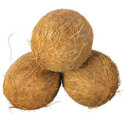 Fully Husked Coconut, Color : Brown
