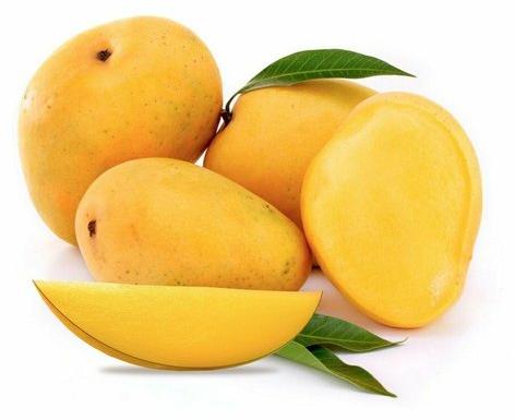 Organic Banganapalli Mango, for Direct Consumption, Food Processing, Juice Making, Feature : Bore Free