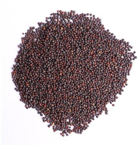 Black mustard seeds, Packaging Type : PP Bag