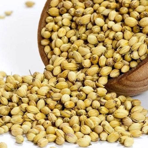 Coriander seeds, for Agriculture, Cooking, Packaging Type : Plastic Packets