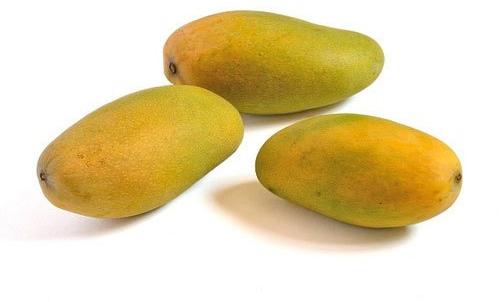 Organic Dasheri Mango