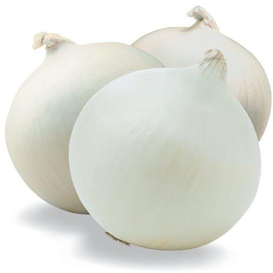 White onion, Shelf Life : 1month