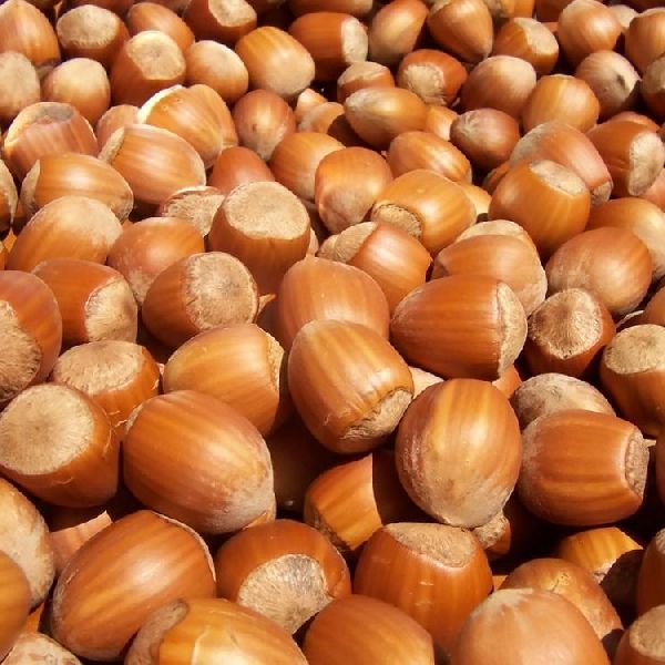 Hazelnut