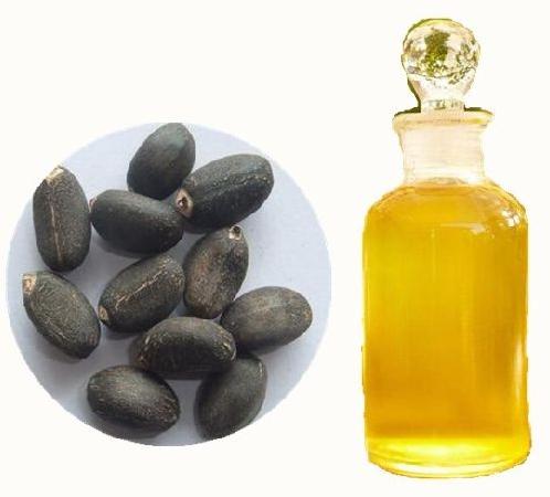 Organic Jatropha Oil, for Cooking, Purity : 99.9%