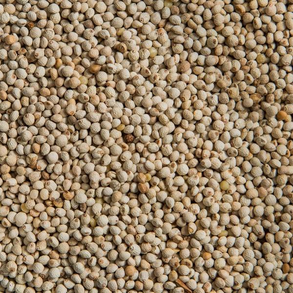 Organic Perilla Seeds, Shelf Life : 6-9 Month