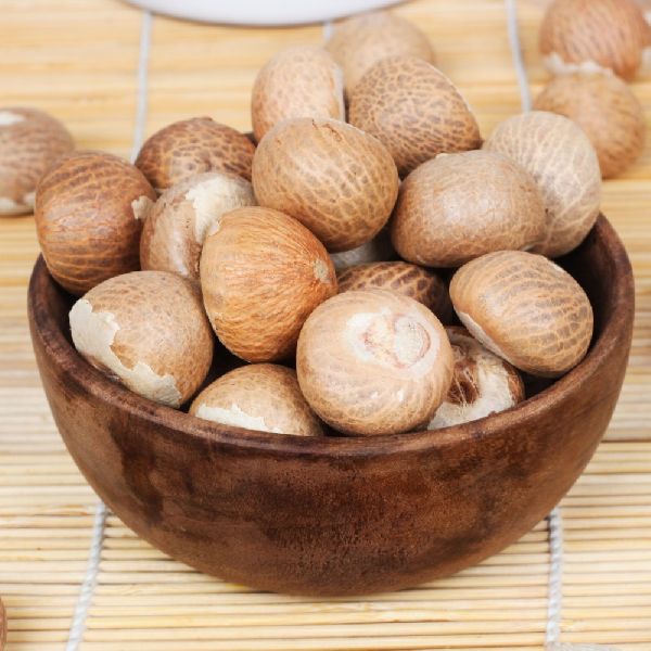 Oval Common Betel Nuts top Quality, for Chinese Medicines, Feature : Freshness