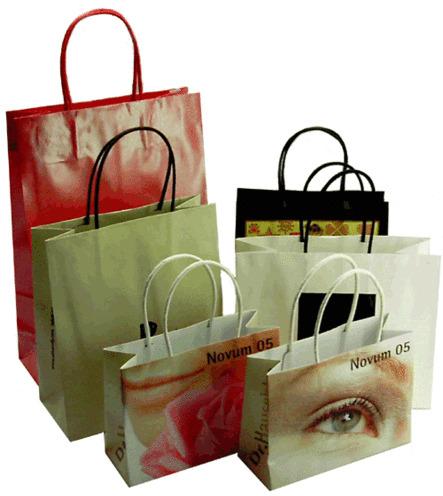 Paper Carry Bags, for Shopping, Size : Standard