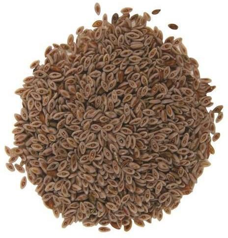 Isabgol Psyllium Husk Seed, for Cooking, Food, Healthcare Products, Style : Dried