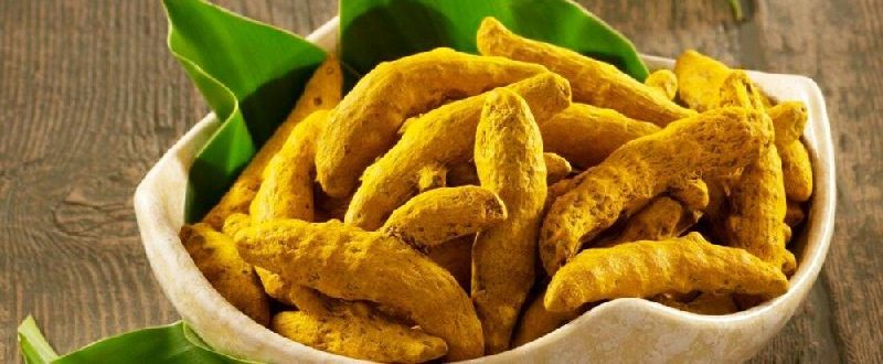Polished Raw Natural dried turmeric finger, for Cooking, Spices, Food Medicine, Cosmetics, Form : Solid