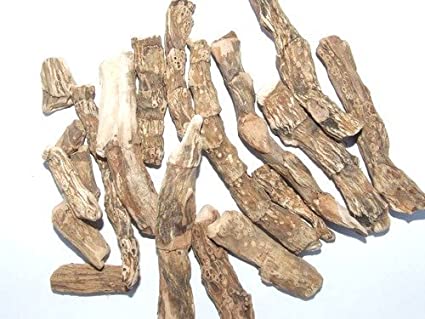 Dried Acorus Calamus