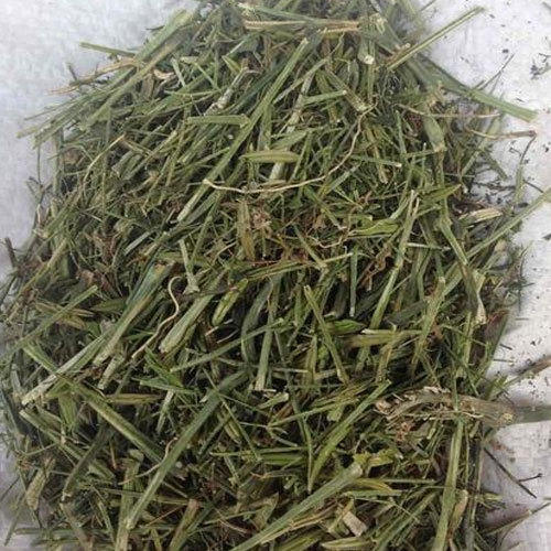 Dried Andrographis Paniculata Herbs, Grade : Medicinal Grade