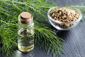 Organic Fennel Oil, for Medicine, Natural Perfumery, Form : Liquid