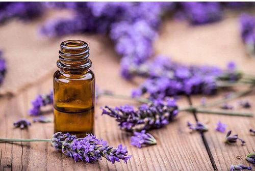 Lavender Essential Oil