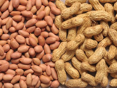 Natural groundnut kernel, Feature : Pure Organic