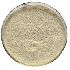 Carboxymethyl Tamarind Kernel Powder