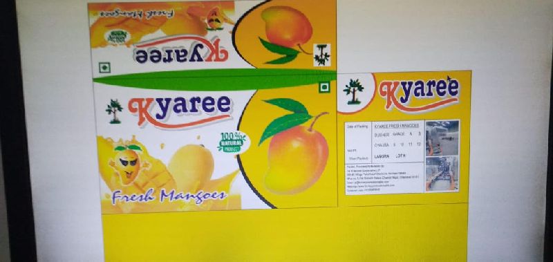 Common Fresh Mango,fresh Mango, For Table Variety, Certification : Fssai