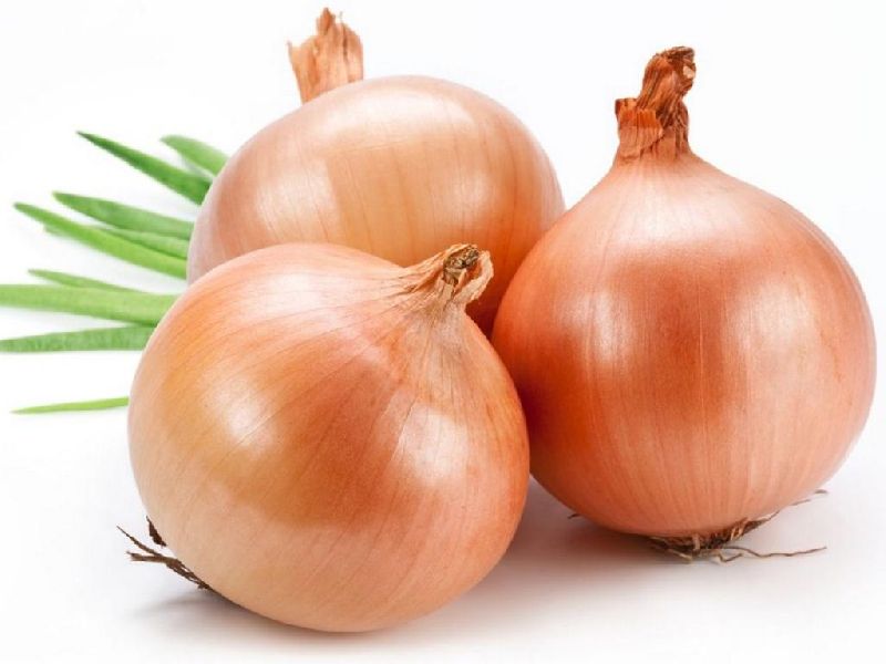 Fresh Yellow Onion, Certification : HACCP Certified