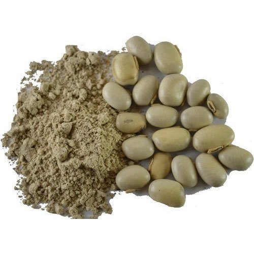Mucuna pruriens powder, Packaging Type : Poly Bags