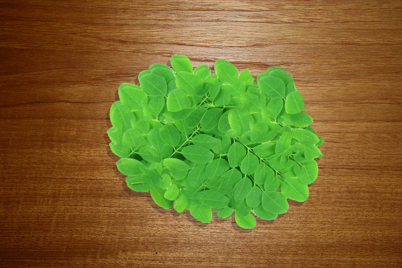 Fresh Moringa Leaves, Feature : Best quality products
