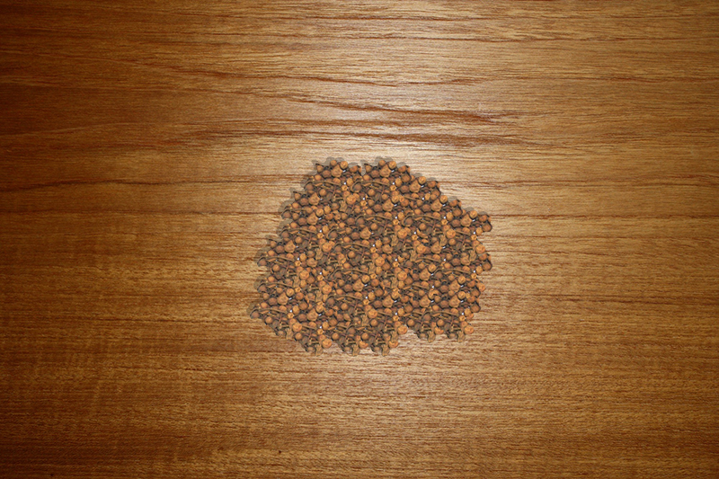 Nagkesar Seeds, Form : Raw Herb