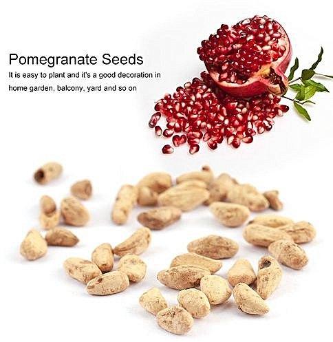 Pomegranate Seeds, Feature : Best quality products