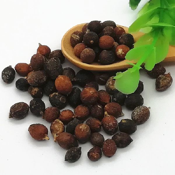 Washingtonia Papaya Seeds, Feature : Best quality products