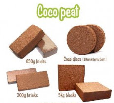 coco peat