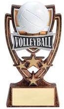 Metal Volleyball Trophy, Color : Golden, Yellow