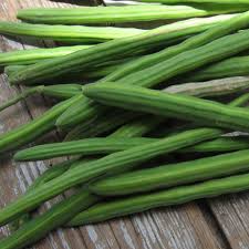 Organic Moringa Drumstick, for Medicine, Nutrition, Color : Green