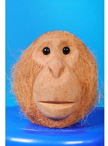 Coconut Shell Monkey Face