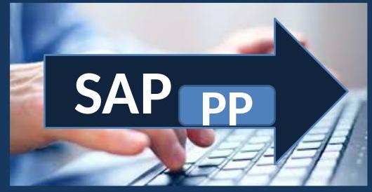 SAP PP Online Training