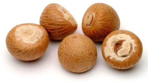 Organic areca nut, for Medicines, Mouthe Freshenser, Certification : FSSAI