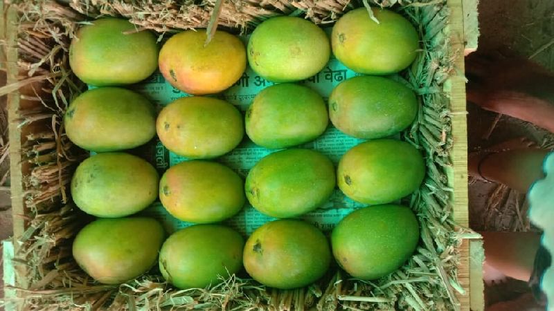 Alphonso Mangoes