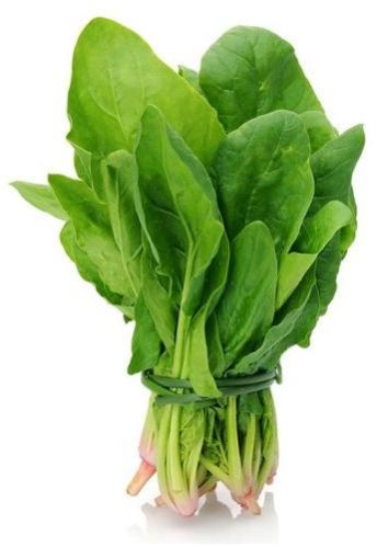 Fresh Spinach Leaves