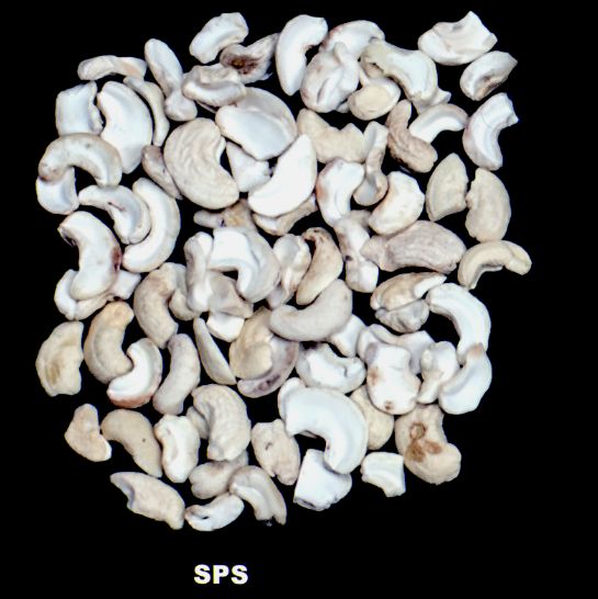 SPS Cashew Nuts