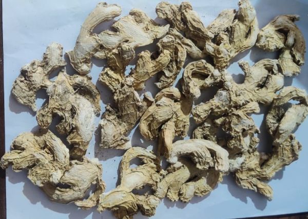 Common Dry Ginger, Quality : Top Grade