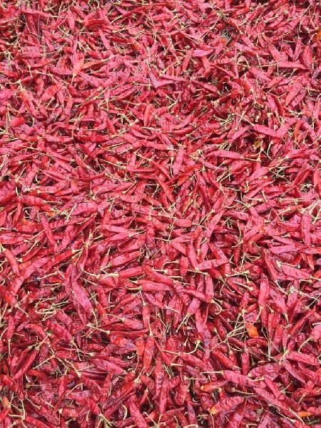 334 Dry Red Chilli, for Cooking, Certification : FSSAI Certified